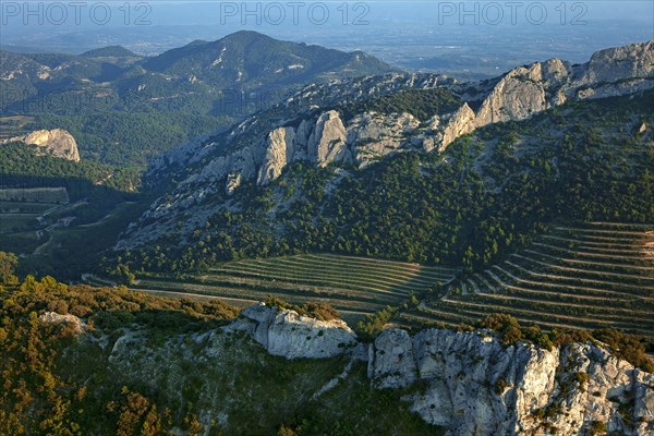 Gigondas, Vaucluse