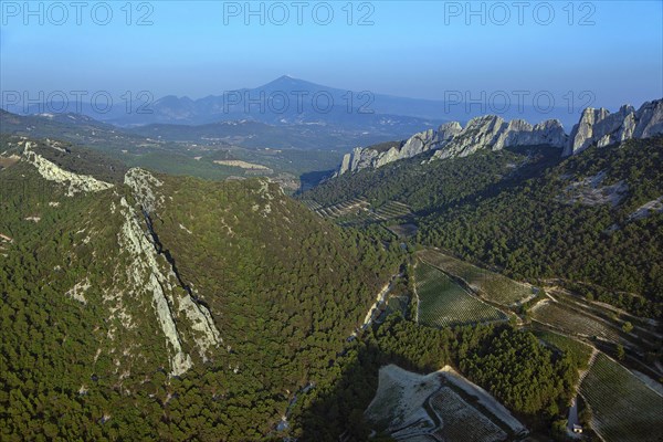 Gigondas, Vaucluse