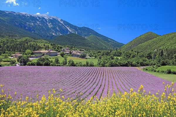 Paysage du mont Ventoux, Vaucluse