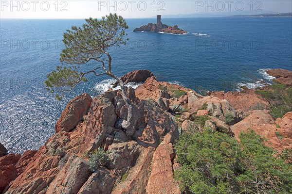 Saint-Raphaël, Var