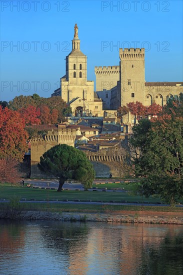 Avignon, Vaucluse