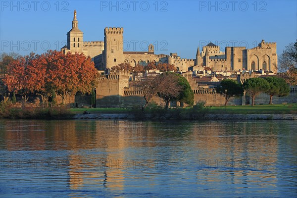 Avignon, Vaucluse