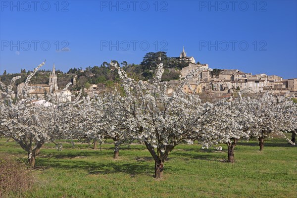 Bonnieux, Vaucluse