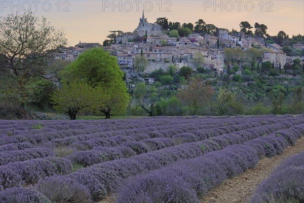 Bonnieux, village located in the Luberon, Vaucluse