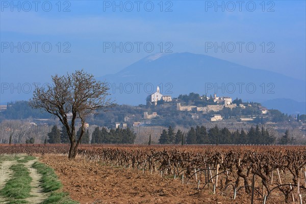 Cairanne, Vaucluse