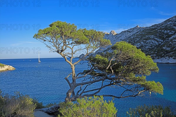 Marseille, Calanque de Sormiou, Bouches-du-Rhône