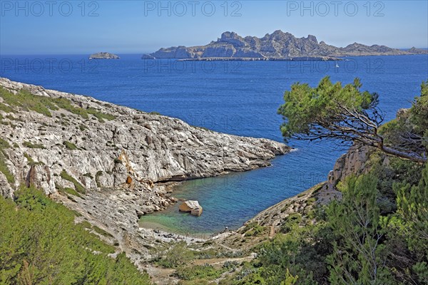 Marseille, Calanque de Queyrons, Bouches-du-Rhône