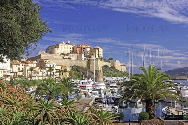 Calvi, Corse