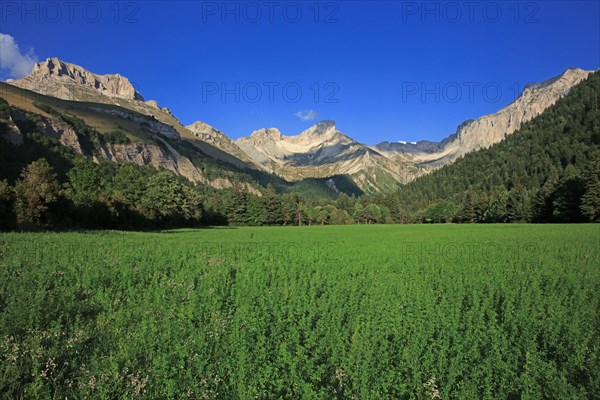 Lus-la-Croix-Haute, Drôme