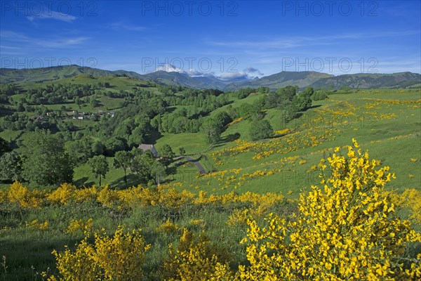 Mandailles-Saint-Julien, Cantal