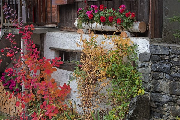 Chalet in Haute-Savoie