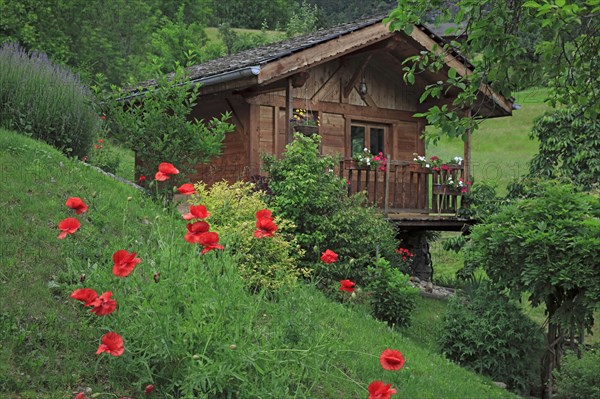 Flowered chalet in Haute-Savoie