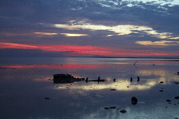 Camargue, Bouches-du-Rhône