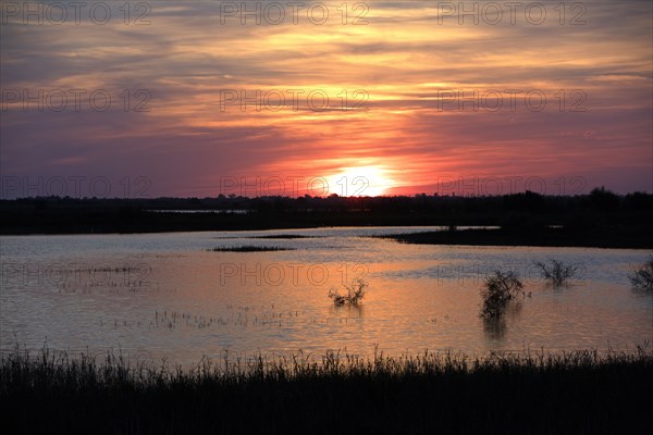 Camargue, Bouches-du-Rhône