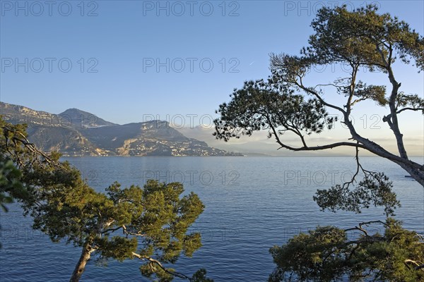 Cap-d'Ail, Alpes-Maritimes