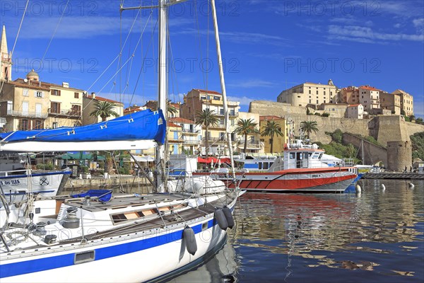 Calvi, Corse