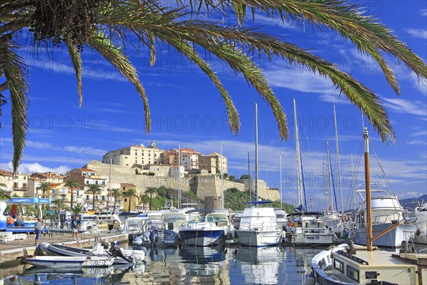 Calvi, Corse