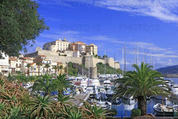 Calvi, Corse