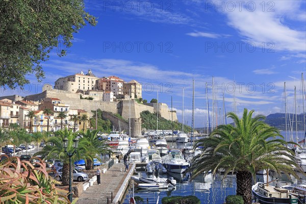 Calvi, Corse