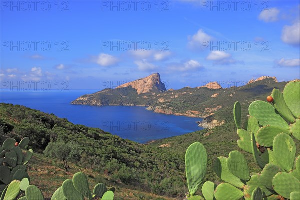 Piana, Corse