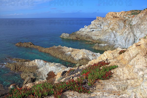 Gulf of Calvi, Corsica