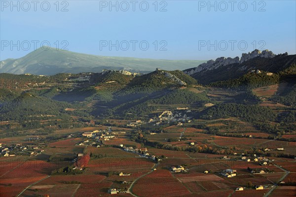 The Dentelles de Montmirail, Vaucluse