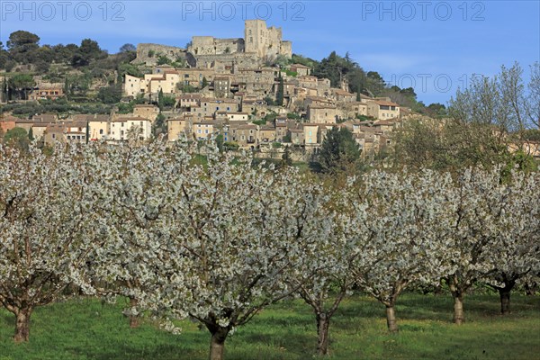 Lacoste, Vaucluse