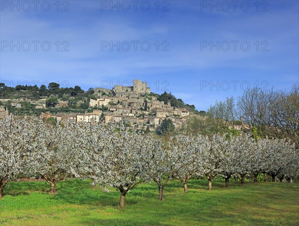 Lacoste, Vaucluse