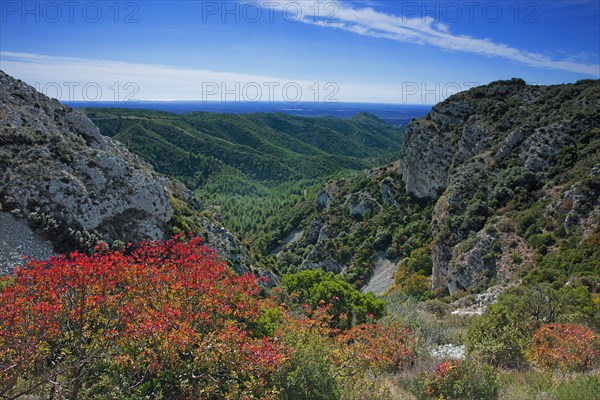 The Alpilles massif, Bouches-du-Rhône