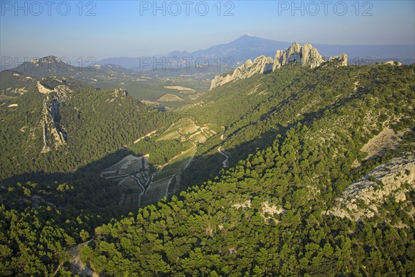 The Dentelles de Montmirail, Vaucluse