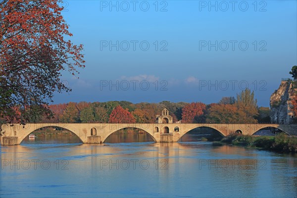 Avignon, Vaucluse