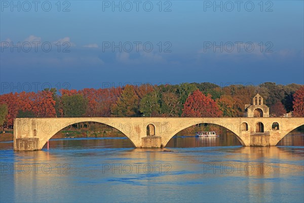 Avignon, Vaucluse