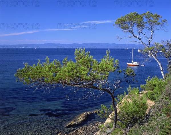 Ile de Porquerolles, Var