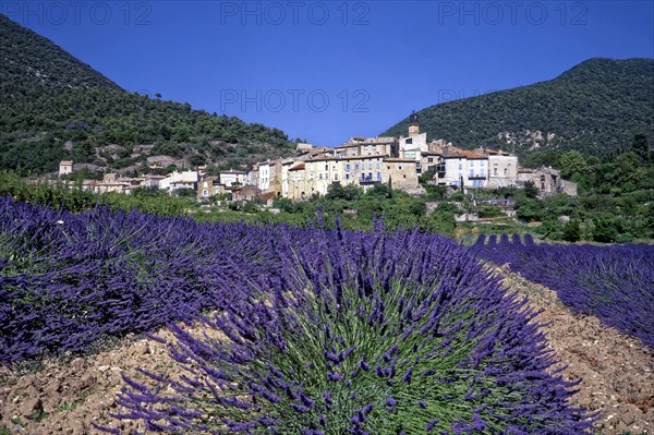 Venterol, Drôme