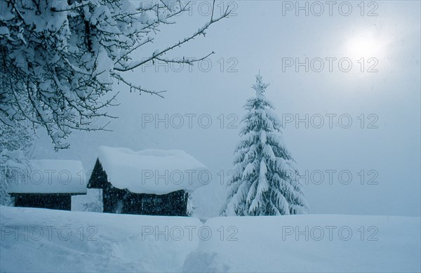 Paysage hivernal, Haute-Savoie