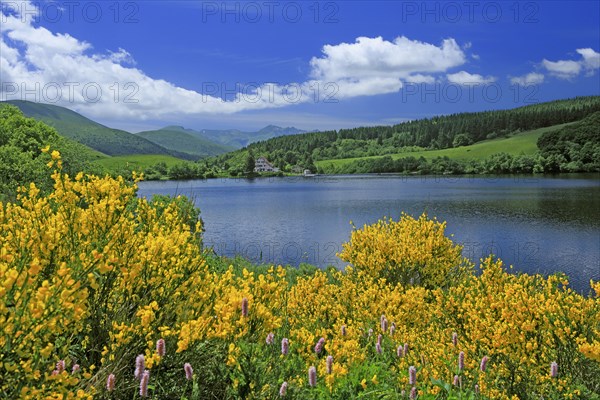 Lac de Guéry, Puy-de-Dôme