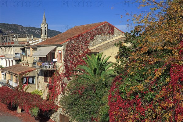 Saint-Martin-d'Ardèche, Ardèche