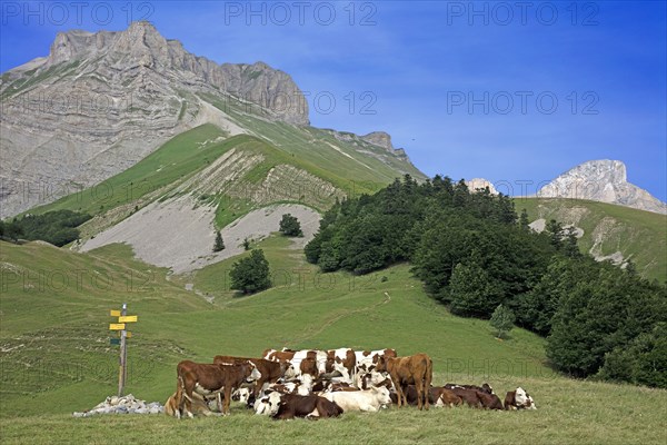 Lus-la-Croix-Haute, Drôme