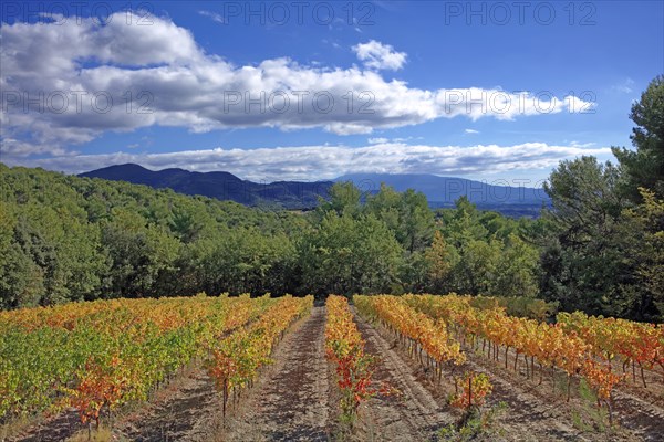 Vinsobre, Drôme