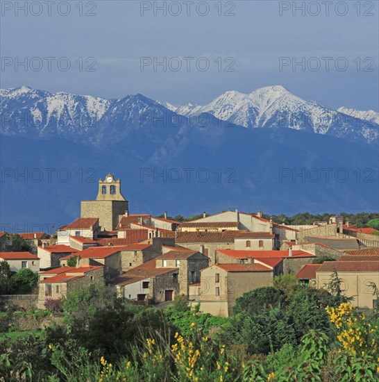 Arboussol, Pyrénées-Orientales