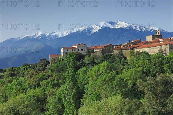 Arboussol, Pyrénées-Orientales