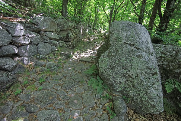 Parc des Cévennes, Lozère