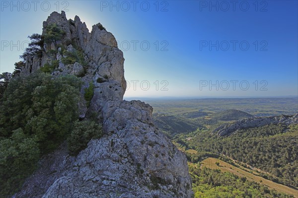 Gigondas, les Dentelles de Montmirail, Vaucluse