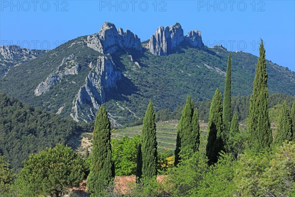 Gigondas, les Dentelles de Montmirail, Vaucluse