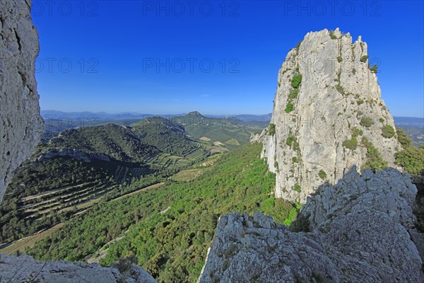 Gigondas, les Dentelles de Montmirail, Vaucluse