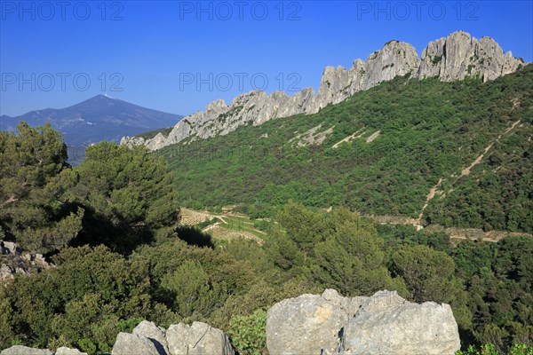 Gigondas, les Dentelles de Montmirail, Vaucluse