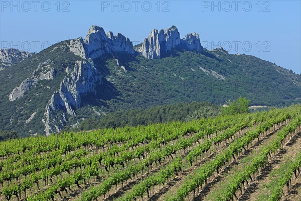 Beaumes-de-Venise, Vaucluse