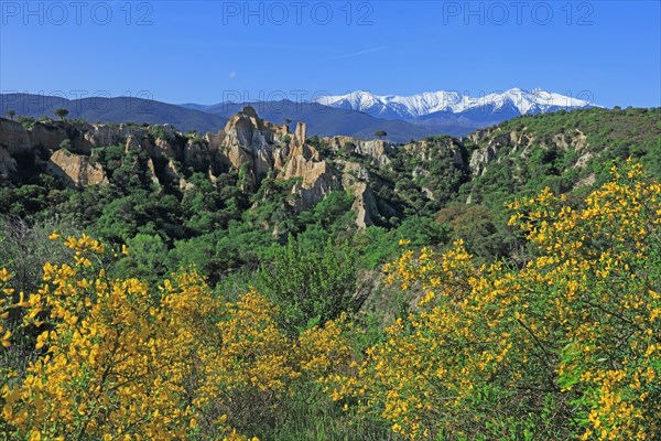 Ille-sur-Têt, Pyrénées-Orientales