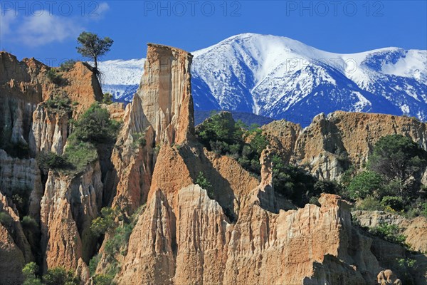 Ille-sur-Têt, Pyrénées-Orientales