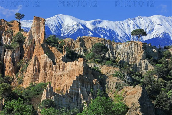 Ille-sur-Têt, Pyrénées-Orientales